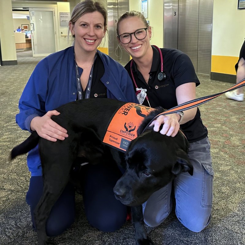 St Andrews staff enjoying patting Choppa - the assistance dog
